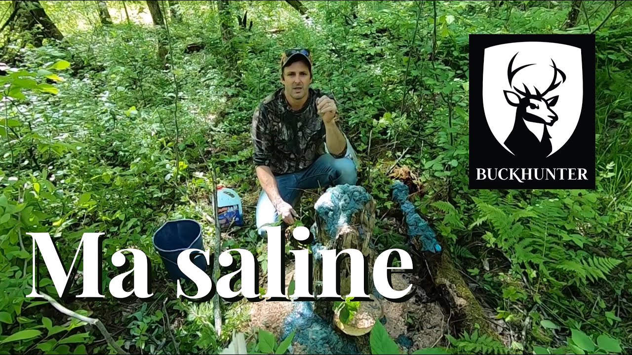 Saline pour chevreuil