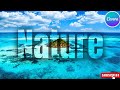 Creat Transparent Text Effect In Canva | Canva Tutorial 🔥 free