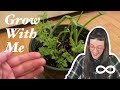 Plant Vlog | Noemi ∞ Makes ∞ Things ∞ Grow