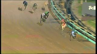 MEA SAT 04 FEB 17 R12