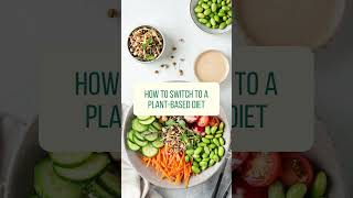 Easy Ways to Go Green This Year