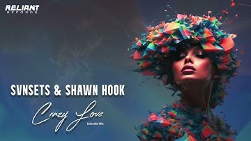 SVNSETS & Shawn Hook - Crazy Love (Extended Mix) [Official Visualizer]