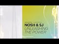 Nosh  sj  dance of existence original mix movement recordings