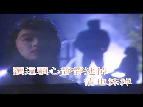 陳慧嫻 夜機  #Karaoke
