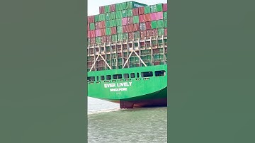 Container ship (Ever Lively) 🚢 #explore