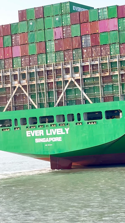 Container ship (Ever Lovely) 🚢 #explore