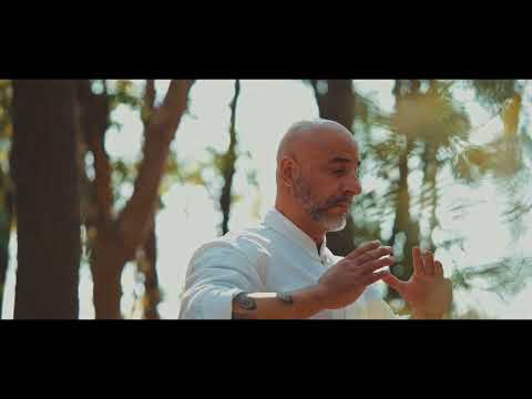 The Pillars of Qigong - The Fundamentals -Jiang YuShan Monkey Fist Door