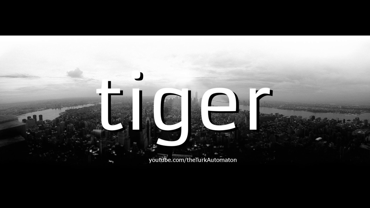 How to Pronounce tiger in German - YouTube