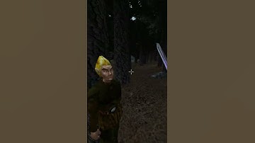 Killing the adoring fan in Morrowind every day until Skywind and Skyblivion are released Day - 360