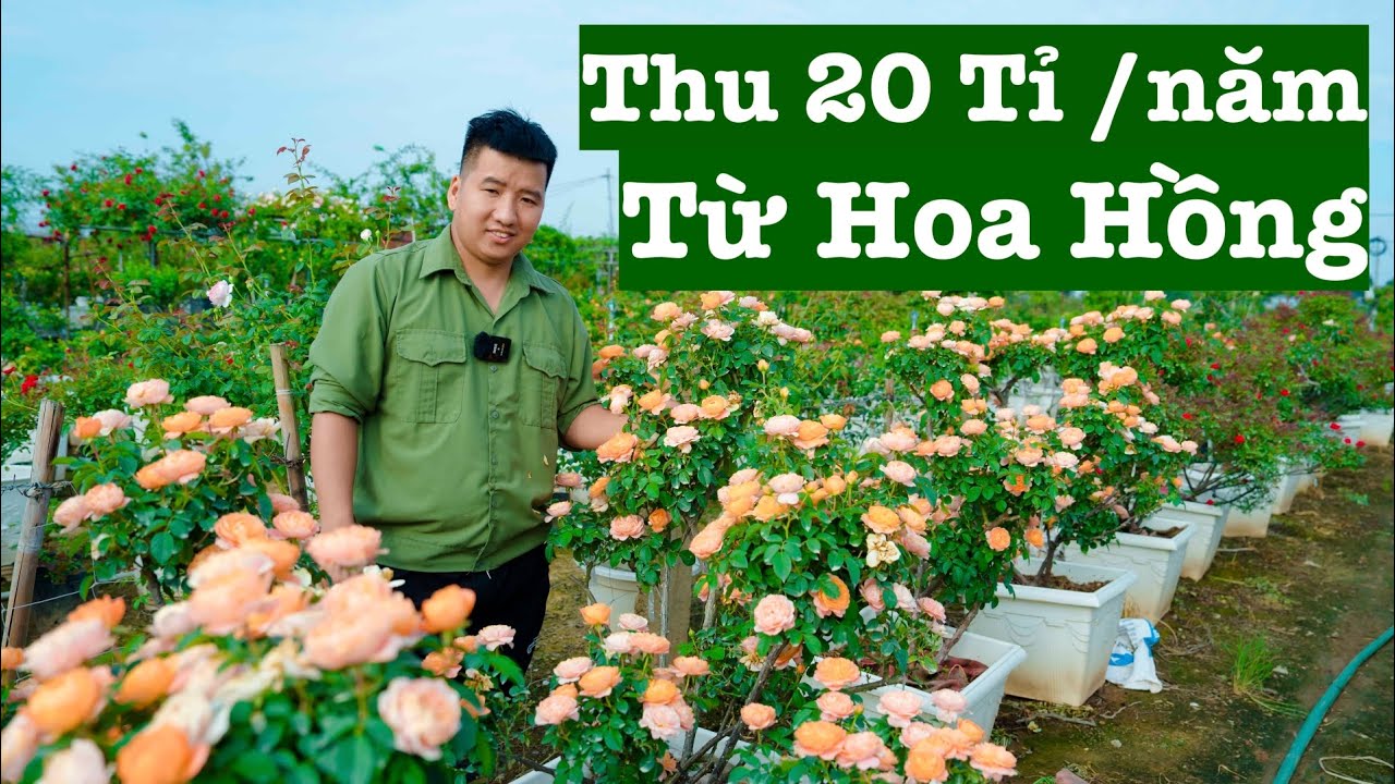 Hé Lộ Cách Thu 20 Tỉ Mỗi Năm Của Chàng Trai Trồng Hoa Hồng Mê Linh | Người Đặc Biệt