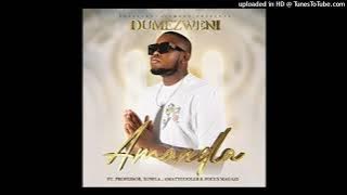 Dumezweni - Amandla (ft.Xowla , Professor , AmaTycooler & Focus)