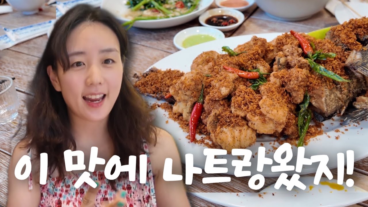 Vlog. 부모님도 만족한 나트랑 맛집, 스파 총출동😎 | 나트랑 가족여행•하바나호텔•해산물식당•웰스파•스카이라이트•나트랑골프