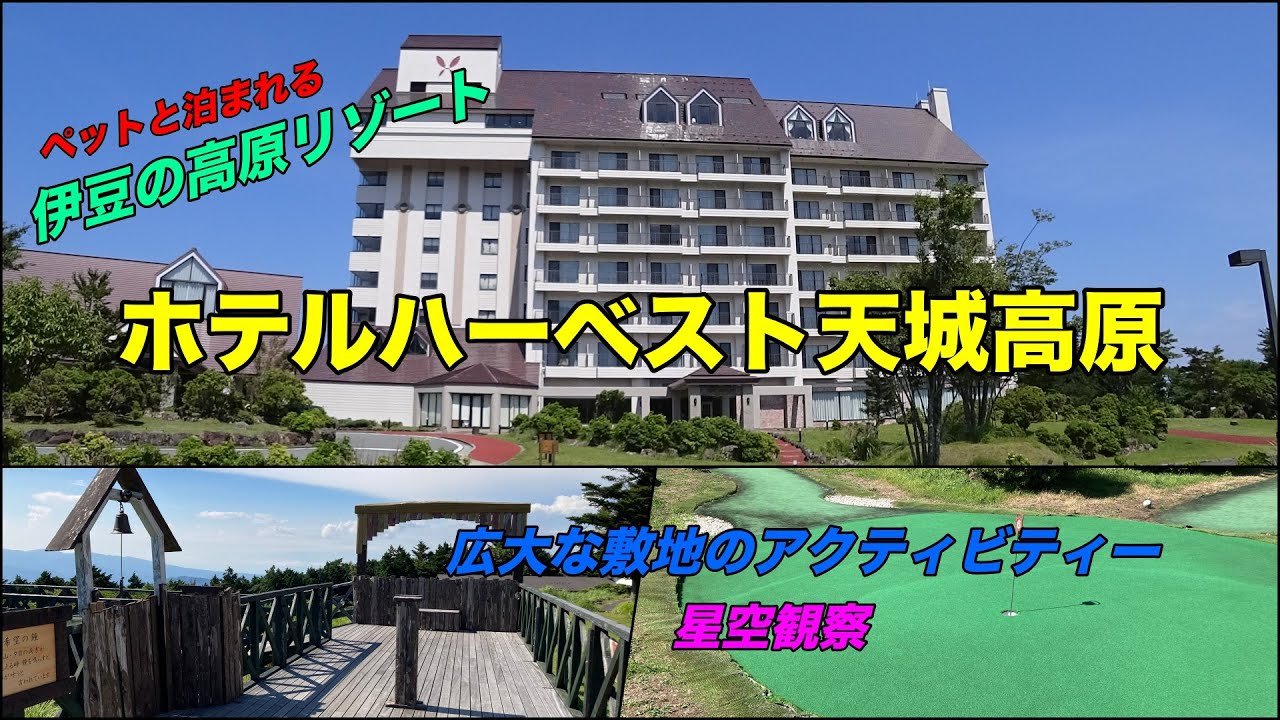 🌟伊豆天城高原リゾート「ホテルハーベスト天城高原」に宿泊☆富士山・天城山系・相模湾を望む標高900mの360度ビュー♪ペットと泊まれる♪広大な敷地にアクティビティ、夜は星空観察で癒されるお勧めの宿！