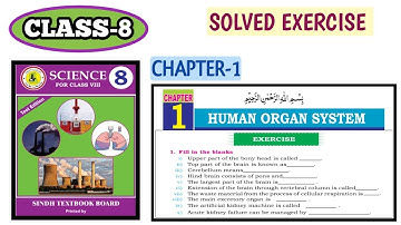 Class 8: Science Chapter 1 Exercise Solution | Human Organ System Solved Exercise | EduSindh Hub