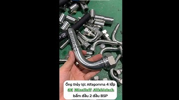 Ống thủy lực Alfagomma 4 lớp 6K MineTuff Alfabiotech bấm đầu 2 đầu BSP #shorts