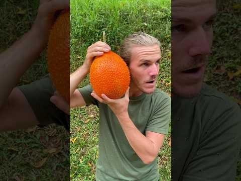 This Fruit Had A Surprise Inside