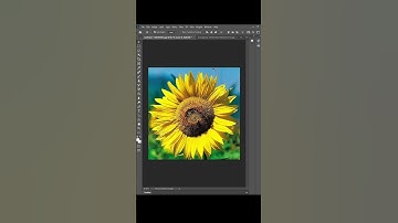 Easy Way to Remove Watermark in Photoshop #shorts #Photoshop #tutorial #photoshoptutorial