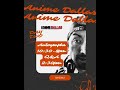 Anime Dallas: Haberkorn Edition