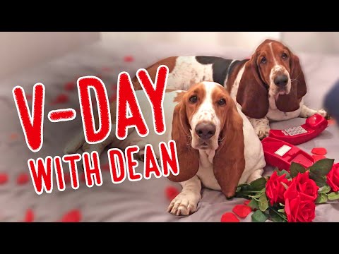 valentine's-day-with-dean!-💕