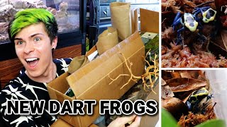Reptile Supplies + Poison Dart Frog Unboxing!!!