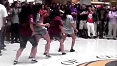 DGC Yardshow Fall 2011 UCF Lambda Theta Alpha Beta Theta Chapter