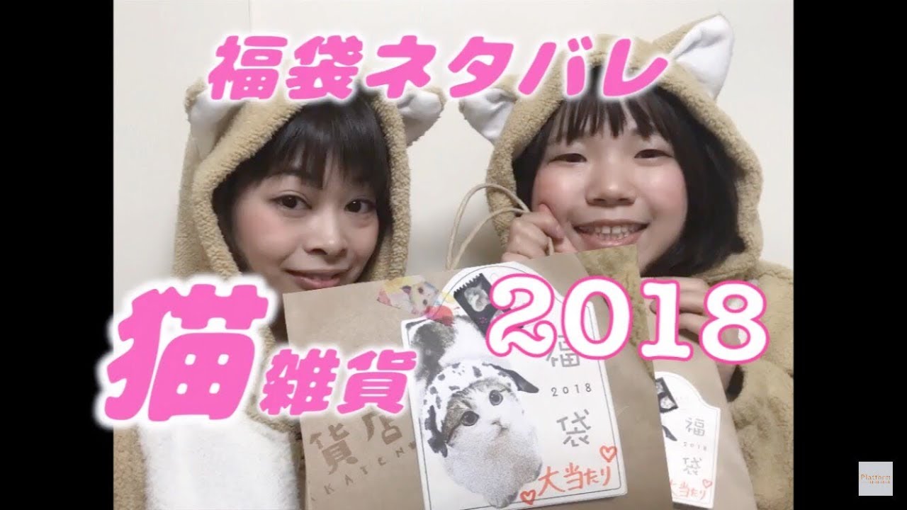 福袋18 開封ネタバレ動画 とことこ雑貨店福袋中身 Youtube