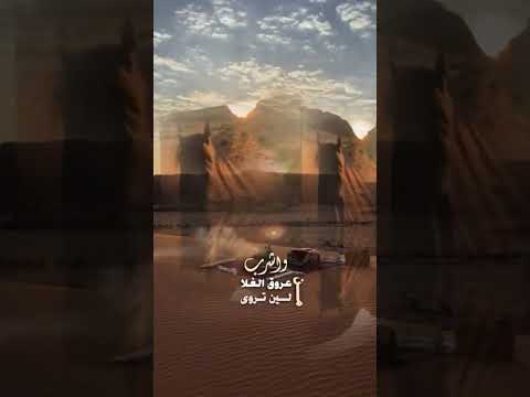 شيله اجلس تربع