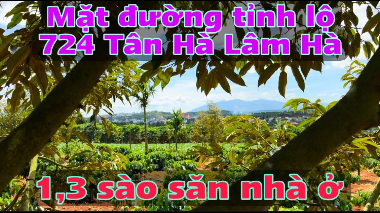 1,3 sào mặt tiền đường nhựa trung tâm Tân Hà Lâm Hà _ vườn cây sẵn nhà ở, view thoáng đẹp