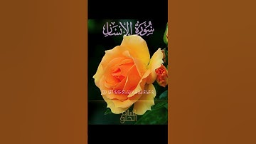 سورة الإنسان للقارئ | اسلام الحلو | Surah Al-Insan by Islam AlHelw #راحة_نفسية