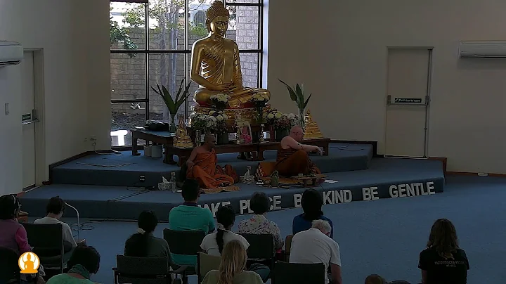 Guided Meditation | Ajahn Brahm | 8 November 2025