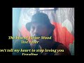 Victor wood song live cover by noel smets
