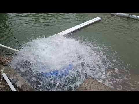 Купольний фонтанний аератор водойми (1,5 кВт/220В - 3 крильчатки) YASSEN DOME SUBMERSIBLE SURGE AE-1.5, видео 1