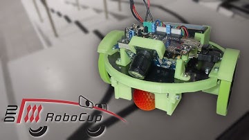 DTU RoboCup 2013 - Wild Willy - First run