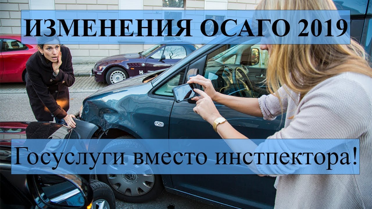 Госномер по осаго