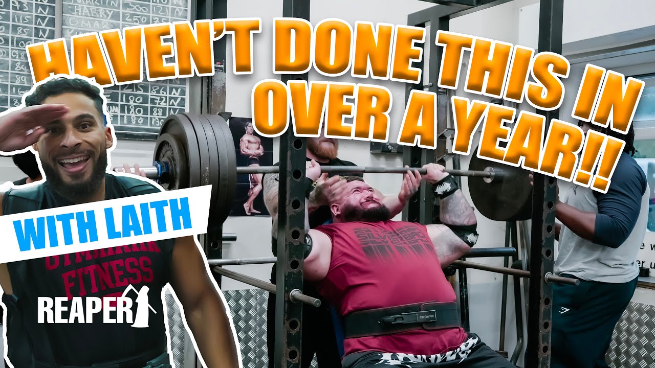 SHOULDER PRESSING 500LBS FOR FUN - GYM REAPER