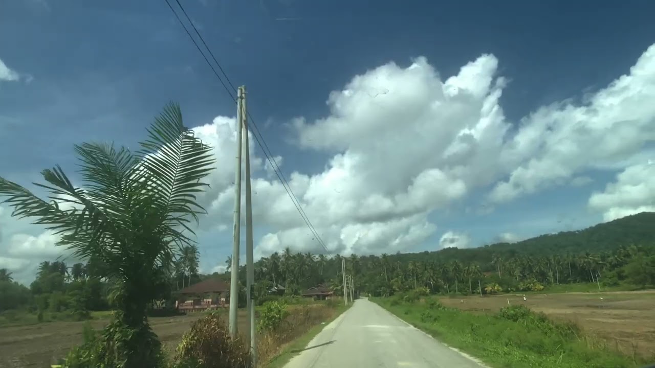Memandu dari Gong Badak ke Bukit Nenas (Menelusuri keindahan sawah padi)