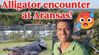 Ep 2 | We Found an Alligator on the Aransas Trail! 