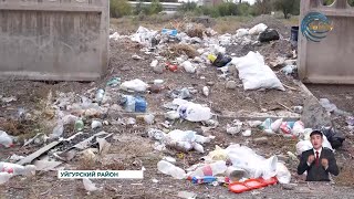 Жители села Шонжы пожаловались на незаконные свалки и отсутствие системы переработки бытовых отходов