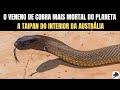 Veneno da Taipan, a cobra mais Venenosa do Mundo @AustralianReptilePark | Biólogo Henrique