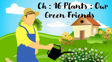 class 3 // EVS // Ch : 16 ( PLANTS : Our Green Friends )  Part 1