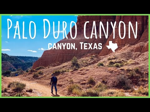 Vídeo: Onde fica o canyon de palo duro?