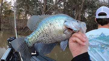 Catching Shallow Spawning Crappie! (Part 2)