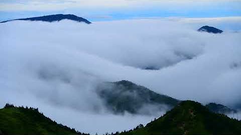 سورة يوسف بصوت القارئ طيار ألتيكولاج