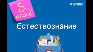 Естествознание. 5 класс. Свойства вещества. Физические и химические  явления /24.11.2020/