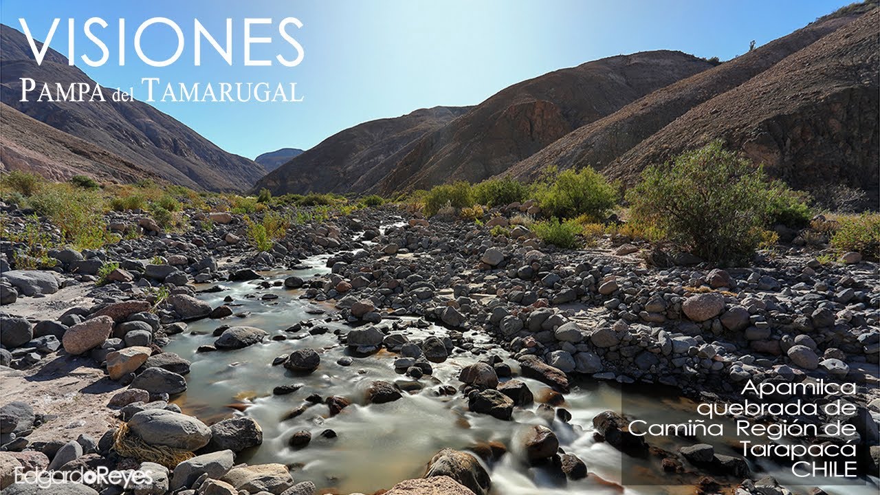 VISIONES, Pampa del Tamarugal Apamilca - Quebrada de Camiña