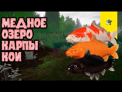 Видео: Медное озеро! В поисках редких видов!  Русская рыбалка 4