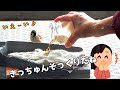 きっちゅんみたいな子が登場