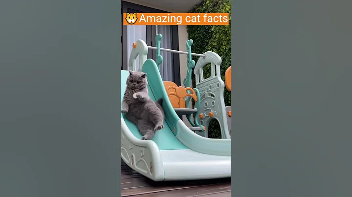 Watch the video about Short-Haired Cat Breeds