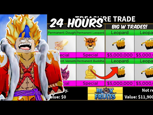 I TRADED ONE OF EVERY PERM FRUIT AND BECAME THE RICHEST! Roblox Blox Fruits  - BiliBili