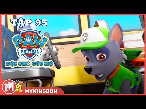 ĐỘI CHÓ CỨU HỘ PAW PATROL MINI | Tập 95 | Phim hoạt hình